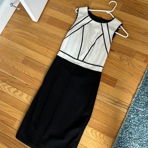 Size 2 White House Black Marker Dress